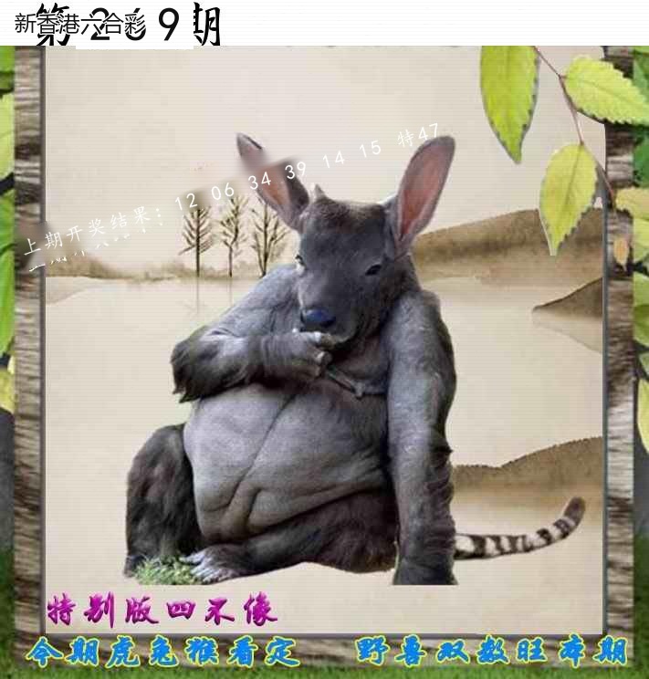 第2026269期精选图库 1318